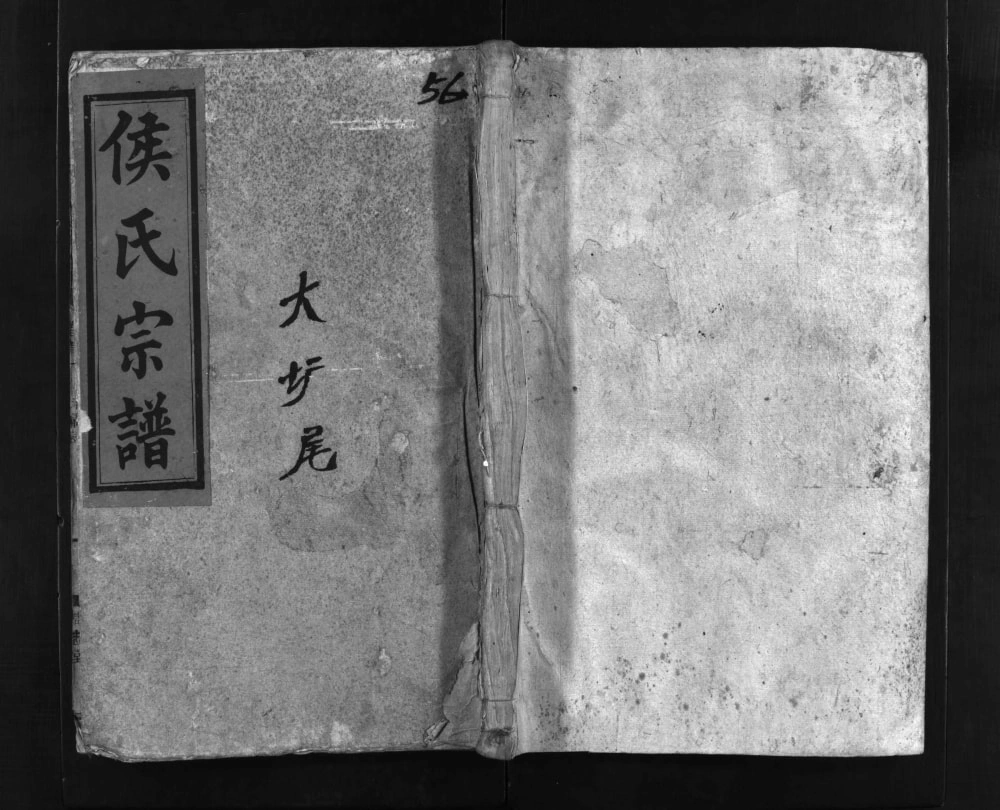 图片[1]-湖南郴州桂阳侯氏宗谱（清忠堂）电子版PDF下载-中华家谱网