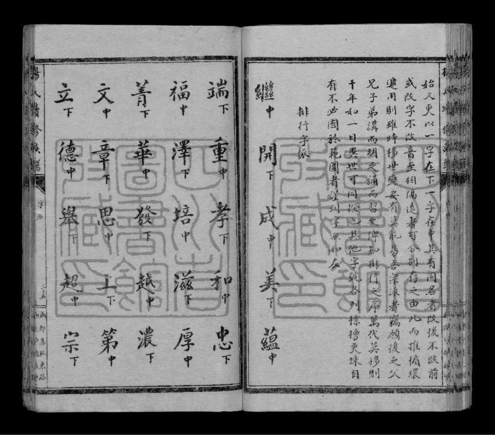 图片[2]-四川乐山犍为县杨氏续修族谱电子版PDF下载-中华家谱网