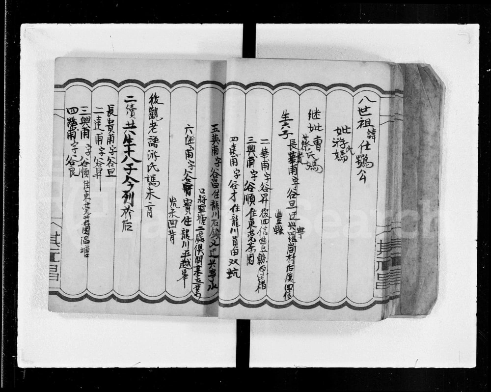 图片[6]-广东河源袁氏族谱电子版PDF下载-中华家谱网