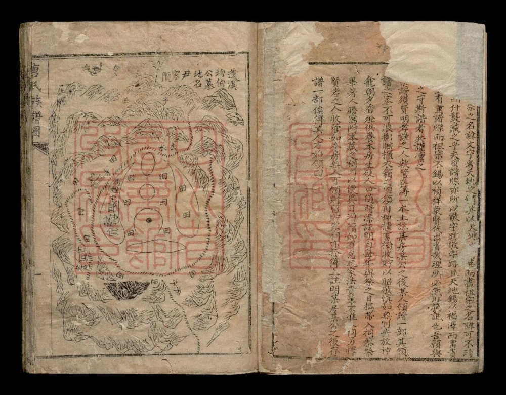 图片[2]-四川德阳中江县唐氏族谱电子版PDF下载-中华家谱网