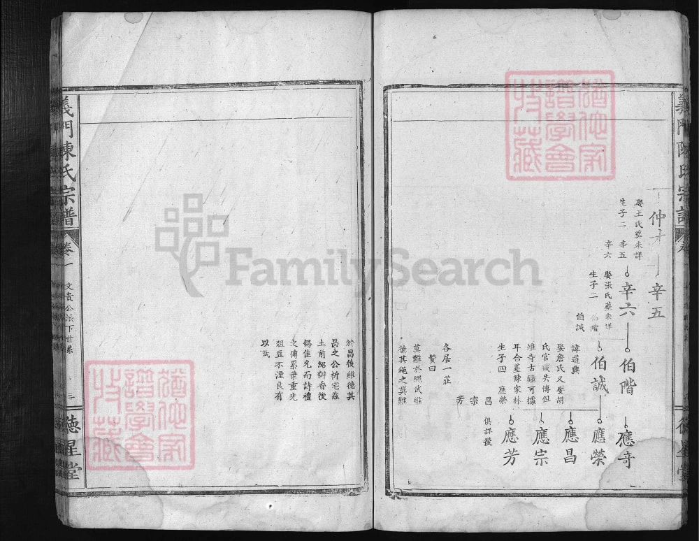 图片[8]-湖北大冶义门陈氏宗谱（德星堂）电子版PDF下载-中华家谱网