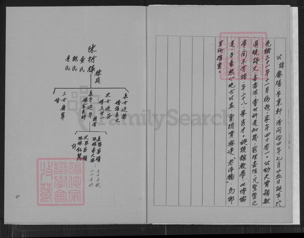 图片[5]-安徽芜湖陈务滋堂家谱世系表电子版PDF下载-中华家谱网