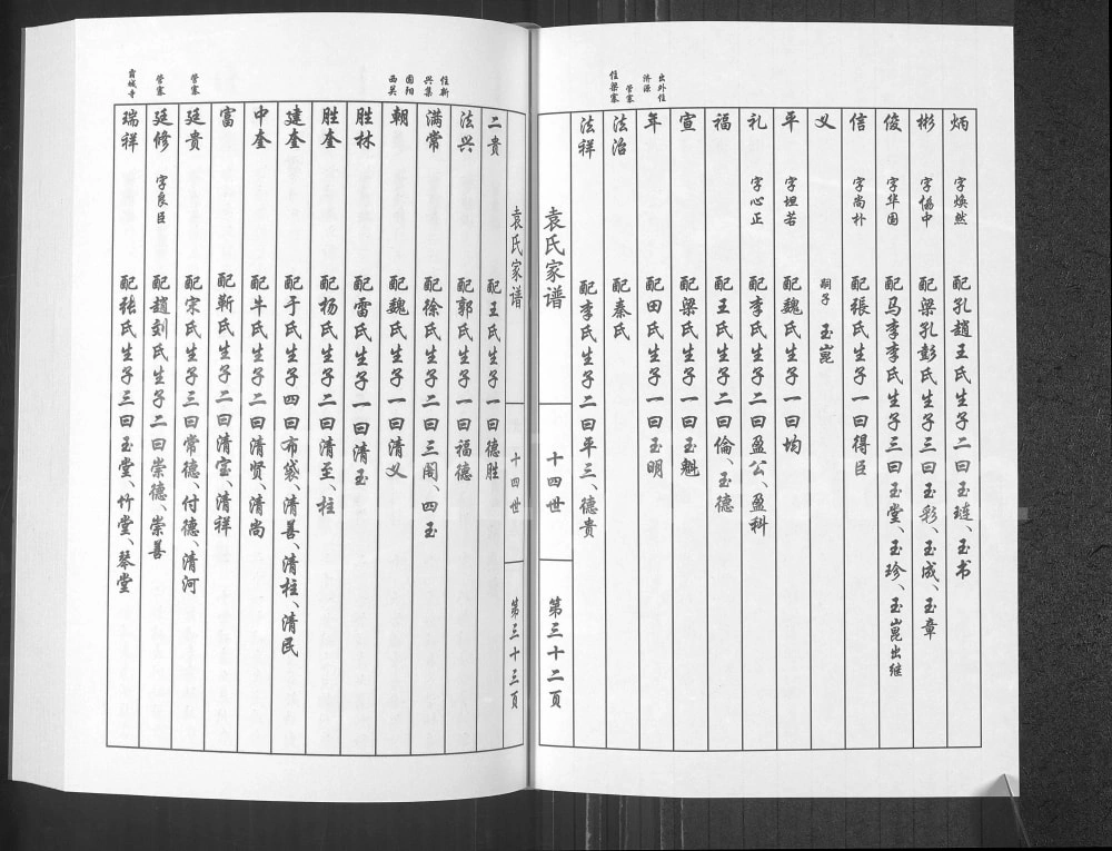 图片[8]-河南开封兰考袁氏族谱电子版PDF下载-中华家谱网