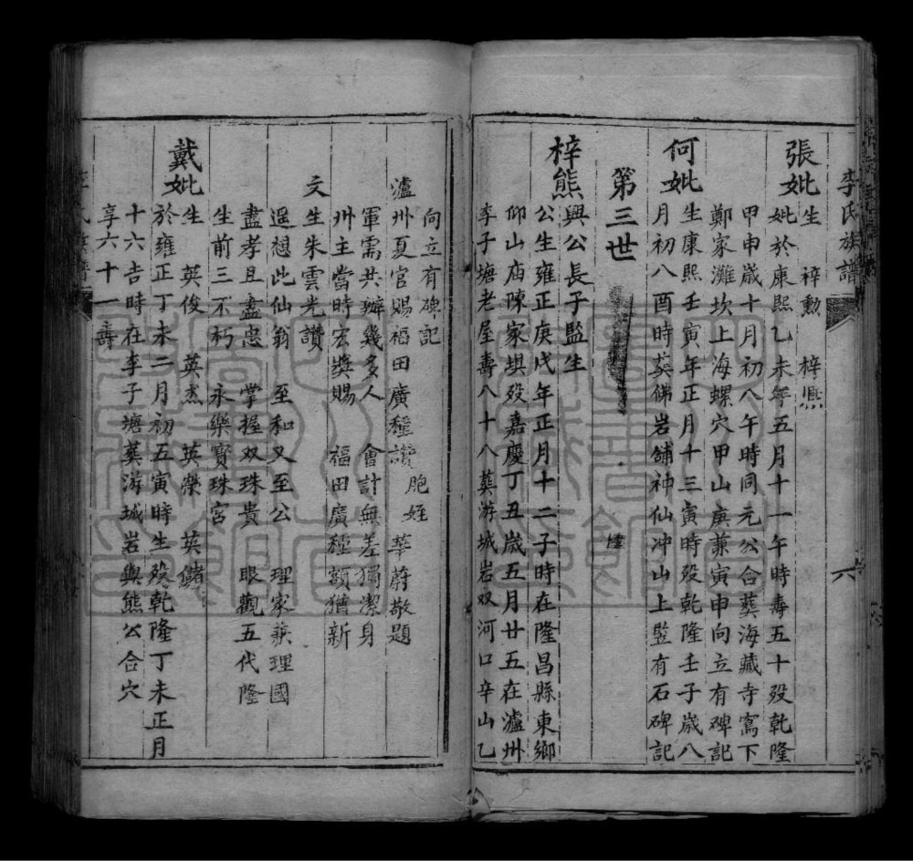 图片[8]-四川泸州李氏族谱电子版PDF下载-中华家谱网