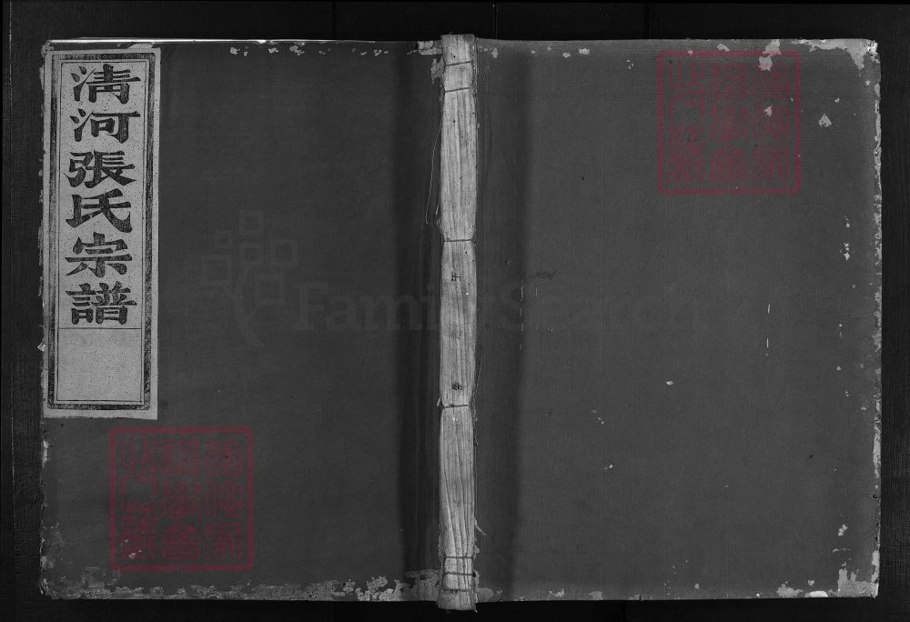 图片[1]-浙江金华清溪张氏家谱（存善堂）电子版PDF下载-中华家谱网