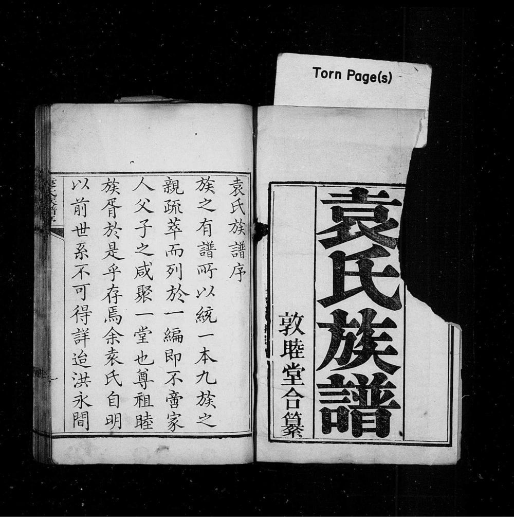 图片[1]-山东青岛即墨袁氏族谱（敦睦堂）电子版PDF下载-中华家谱网