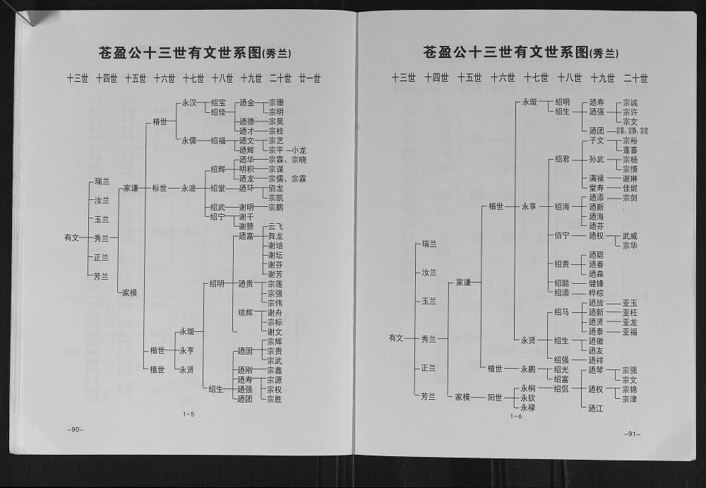 图片[7]-广西玉林陆川谢氏族谱玉荣脉系电子版PDF下载-中华家谱网