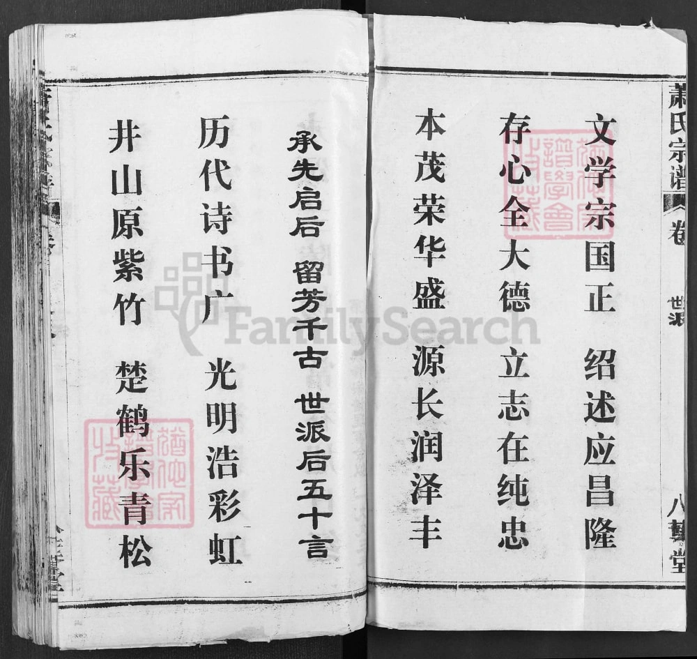 图片[3]-湖北武汉黄陂区萧(肖)氏宗谱（八叶堂）电子版PDF下载-中华家谱网