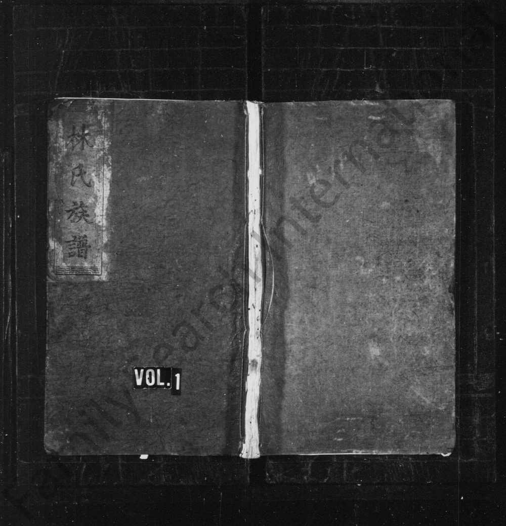 图片[1]-湖南邵阳林氏族谱（济南堂）电子版PDF下载-中华家谱网