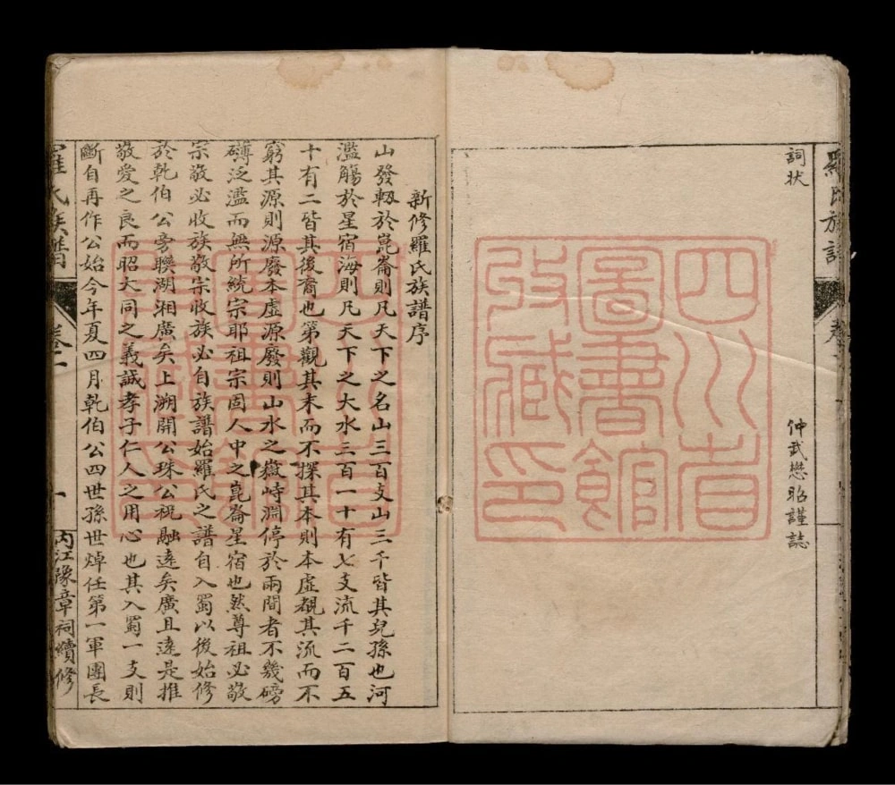 图片[1]-四川内江罗氏族谱电子版PDF下载-中华家谱网