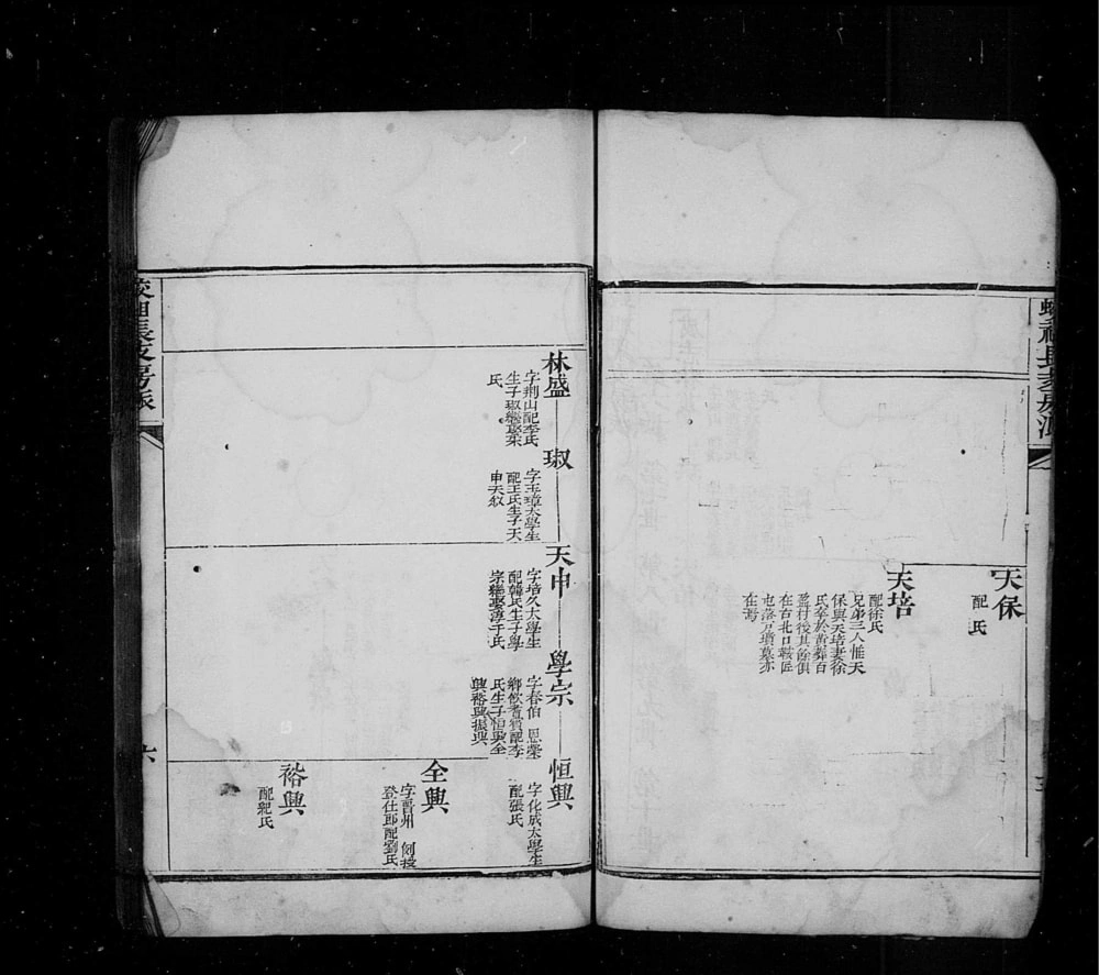 图片[8]-山东龙口市芝阳袁氏族谱电子版PDF下载-中华家谱网