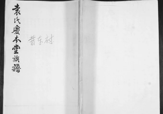 山东青岛即墨袁氏庆本堂族谱-中华家谱网