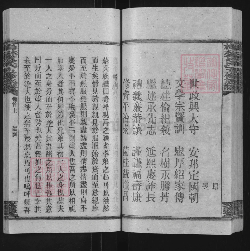 图片[5]-湖南邵阳杨林袁氏五修族谱（敦睦堂）电子版PDF下载-中华家谱网