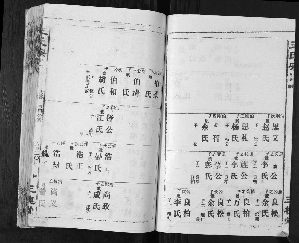 图片[7]-湖北汉川天门仙桃楚北灉江王氏宗谱（三槐堂）电子版PDF下载-中华家谱网