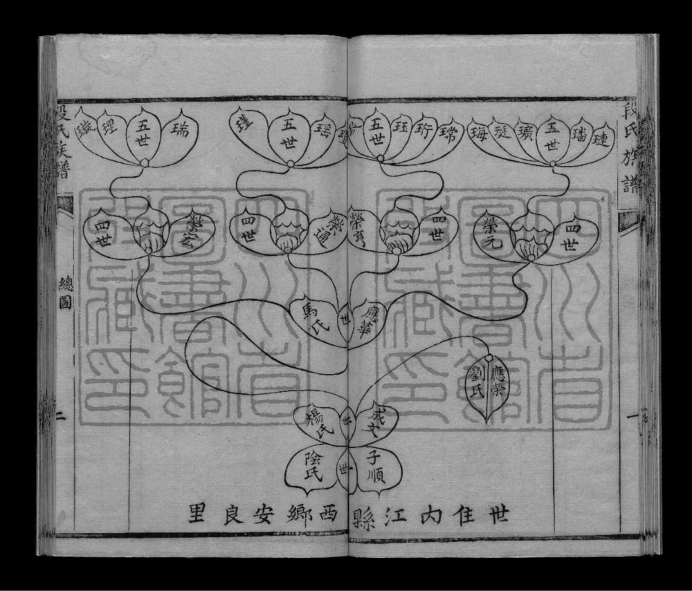 图片[5]-四川内江段氏族谱电子版PDF下载-中华家谱网