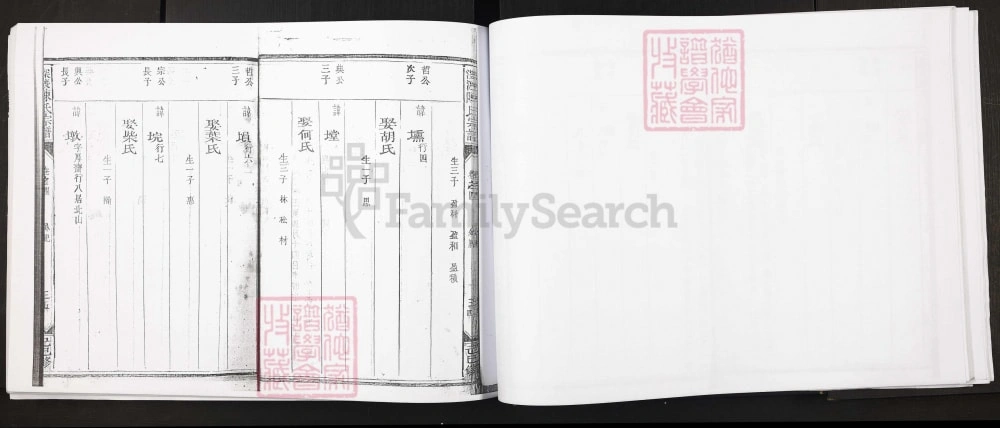 图片[8]-浙江江山市深渡陈氏宗谱电子版PDF下载-中华家谱网
