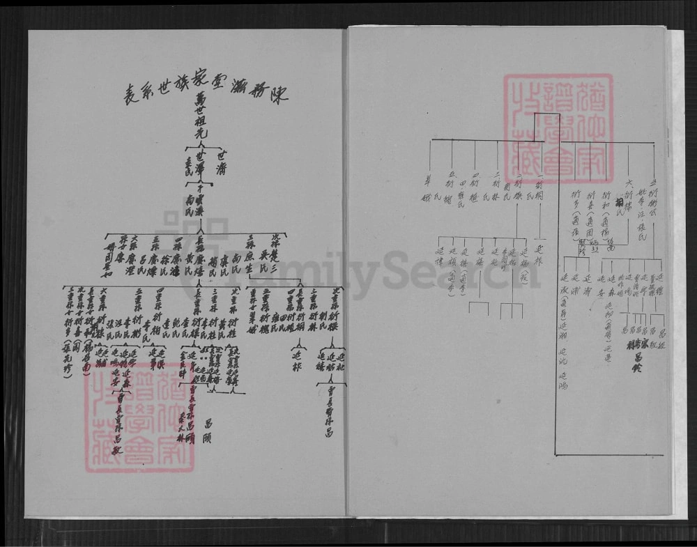 图片[4]-安徽芜湖陈务滋堂家谱世系表电子版PDF下载-中华家谱网