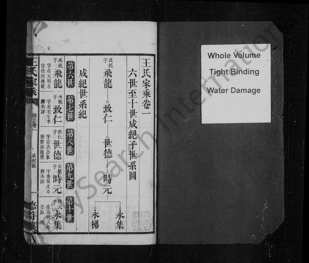 图片[8]-湖南张家界慈利县王氏家乘电子版PDF下载-中华家谱网