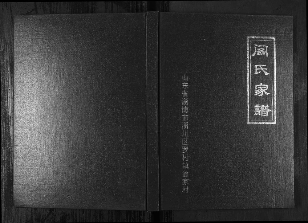 图片[1]-山东淄博阎氏家谱电子版PDF下载-中华家谱网