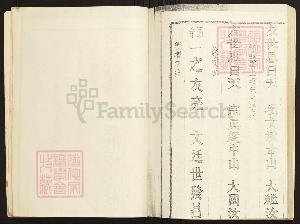 图片[3]-陕西洛南陈氏宗谱龙游庄迁陕支谱（绍义堂）电子版PDF下载-中华家谱网