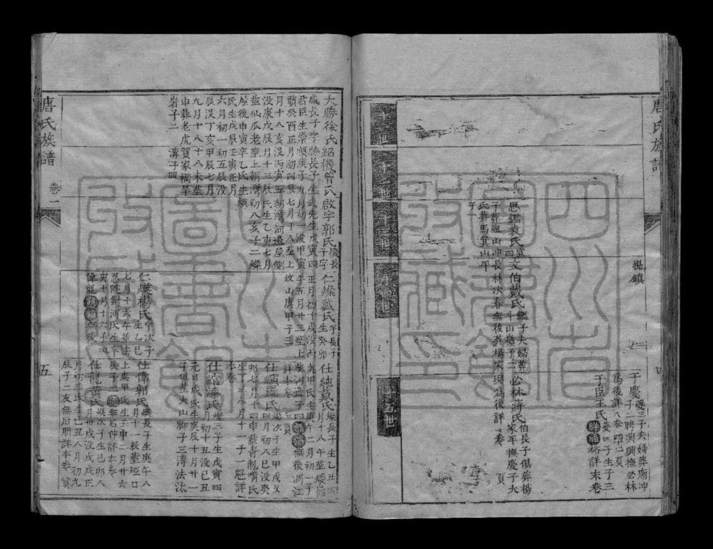 图片[7]-四川德阳中江县唐氏族谱电子版PDF下载-中华家谱网