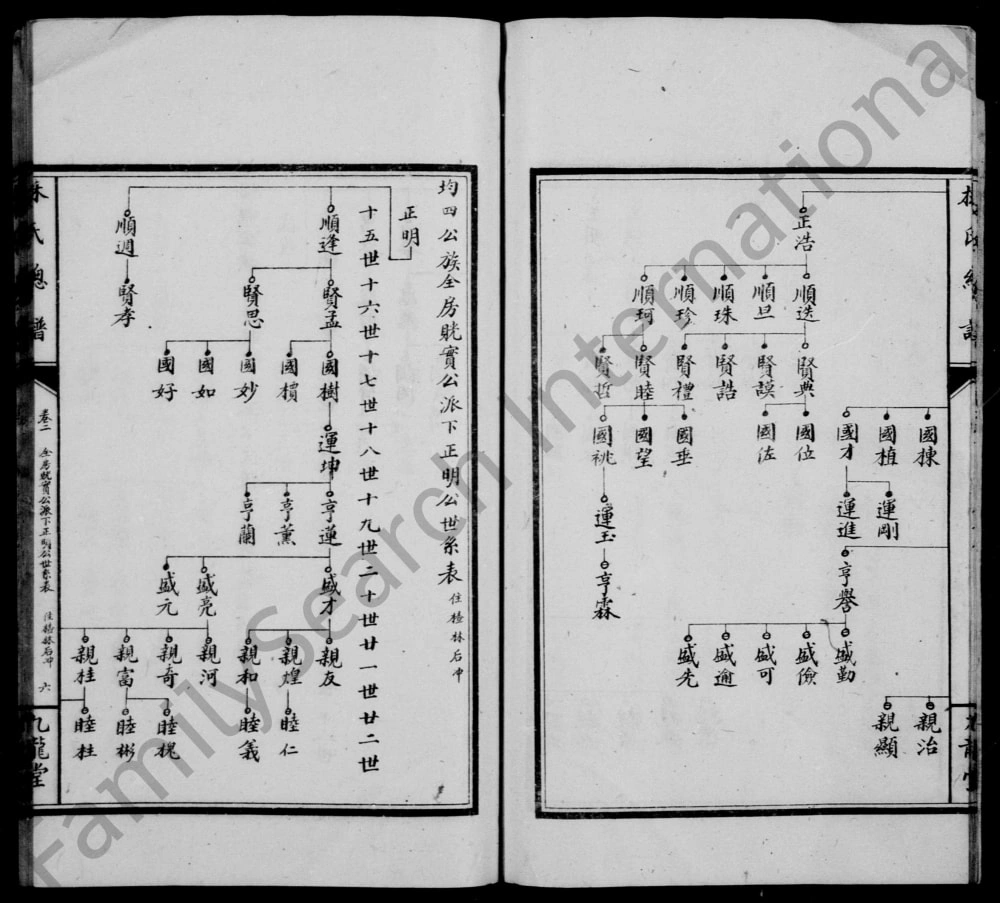 图片[8]-湖南武冈林氏总谱（九龙堂）电子版PDF下载-中华家谱网