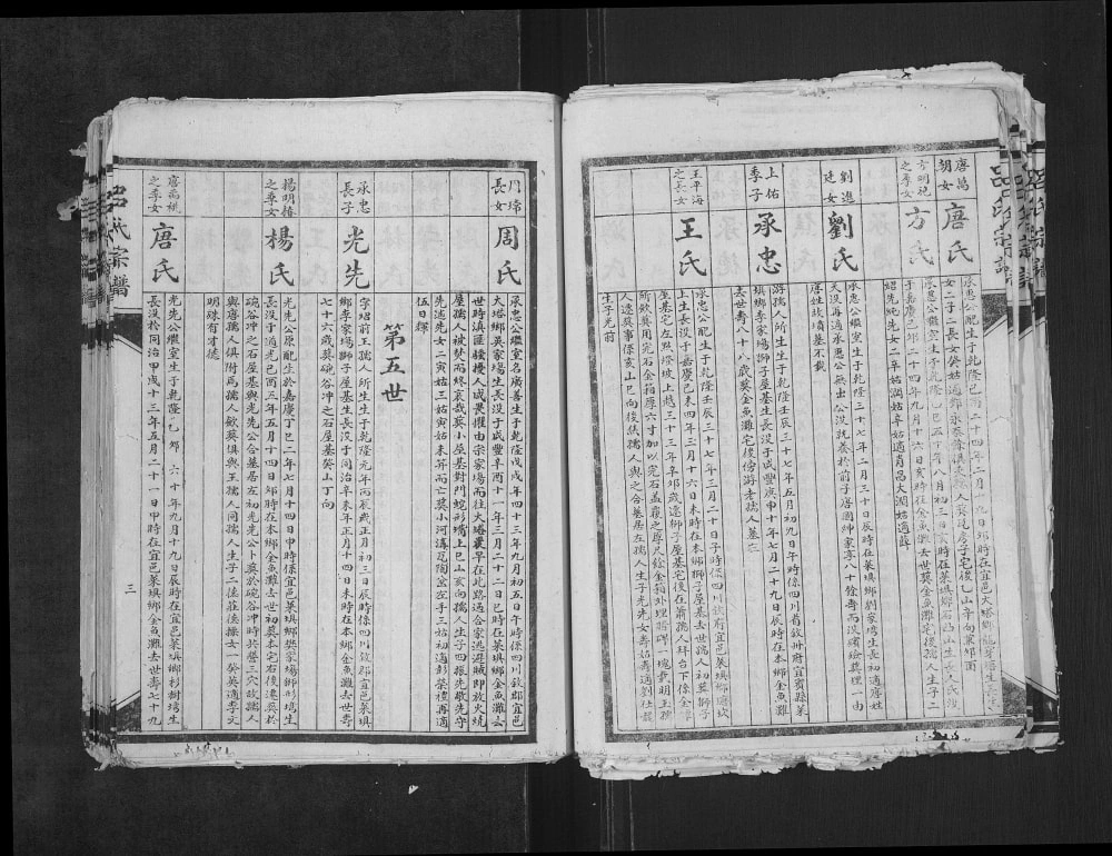 图片[8]-四川宜宾吕氏宗谱电子版PDF下载-中华家谱网