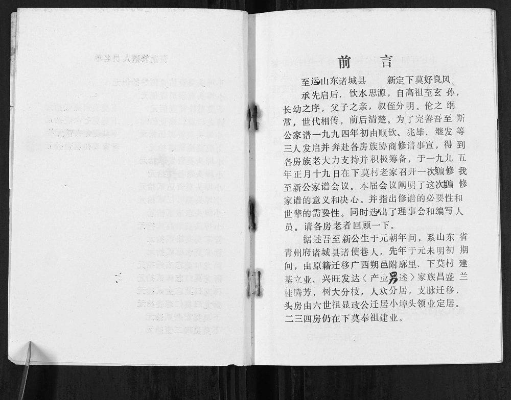 图片[2]-广西桂林阳朔莫氏至新公家谱电子版PDF下载-中华家谱网