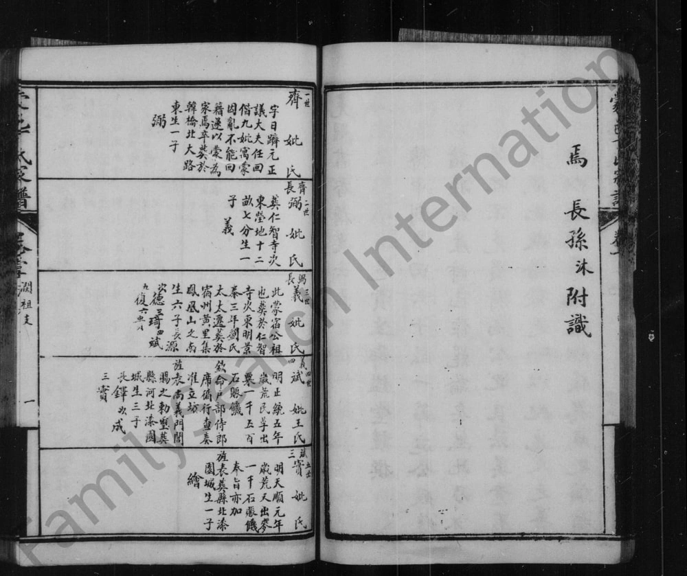 图片[5]-安徽亳州蒙城县蒙邑丁氏家谱（民国9年本）电子版PDF下载-中华家谱网