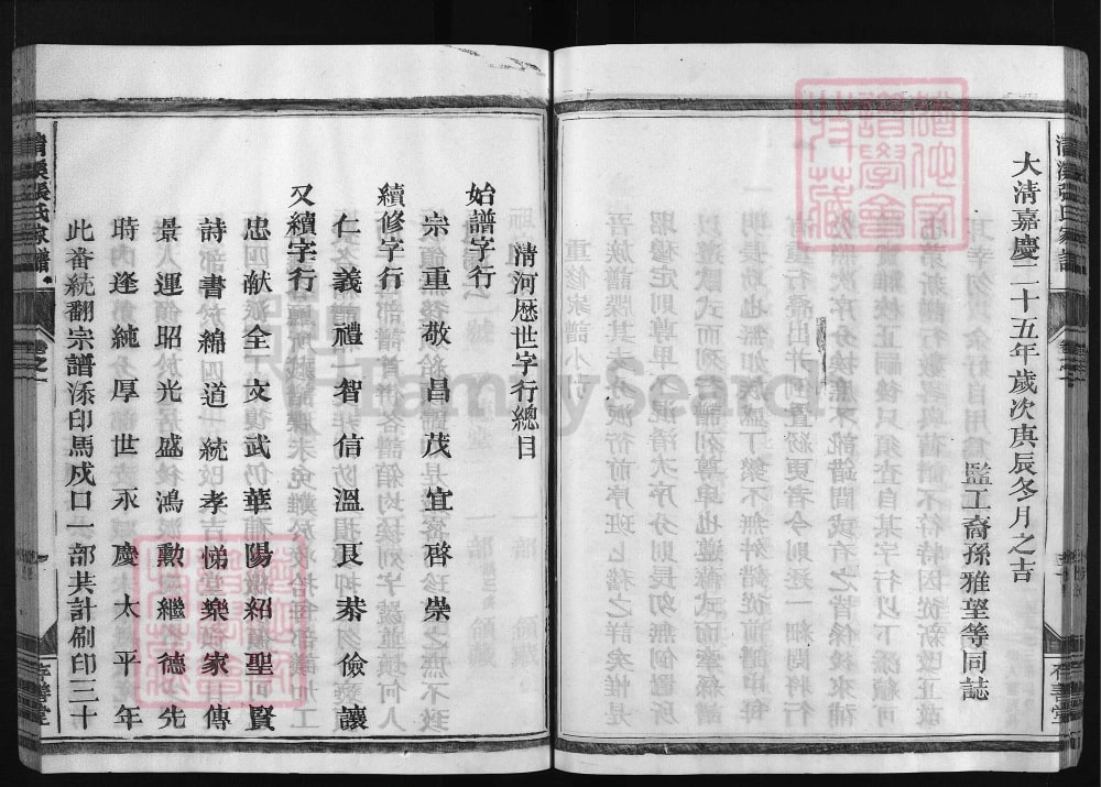 图片[3]-浙江金华清溪张氏家谱（存善堂）电子版PDF下载-中华家谱网