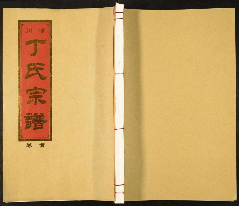 图片[1]-安徽合肥庐江县潜川丁氏宗谱（万卷堂）电子版PDF下载-中华家谱网