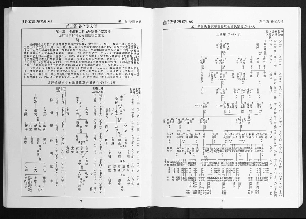 图片[4]-广西梧州苍梧县谢氏族谱电子版PDF下载-中华家谱网