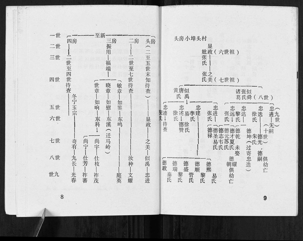 图片[5]-广西桂林阳朔莫氏至新公家谱电子版PDF下载-中华家谱网