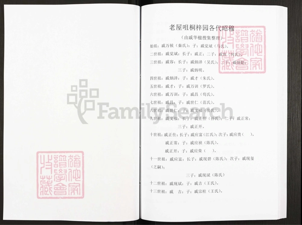 图片[6]-重庆忠县戚氏家谱电子版PDF下载-中华家谱网