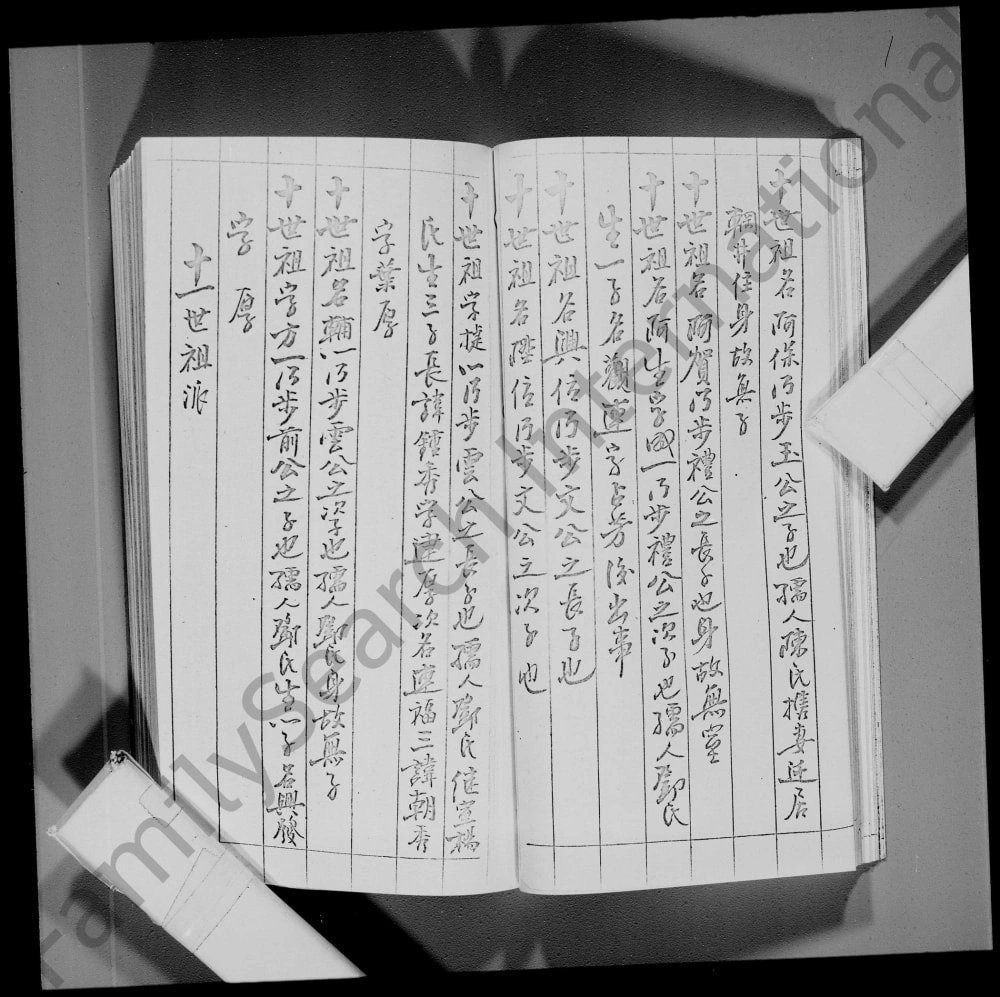 图片[6]-香港林氏族谱电子版PDF下载-中华家谱网