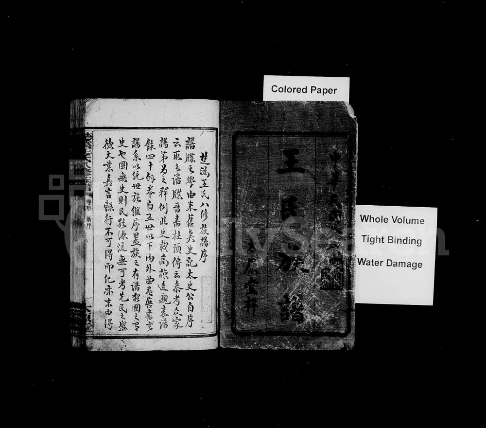 图片[3]-湖南长沙宁乡县楚沩王氏八修族谱（太原堂）电子版PDF下载-中华家谱网