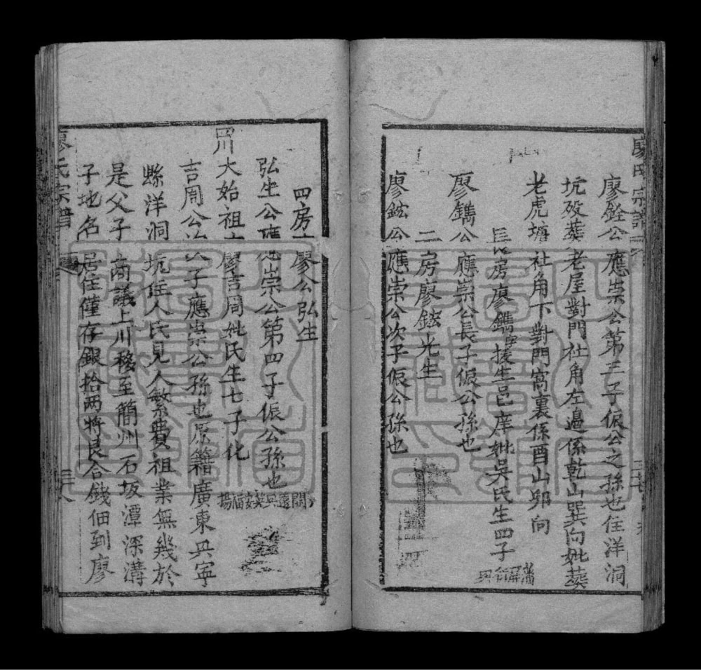 图片[6]-四川成都双流华阳石板滩廖氏族谱电子版PDF下载-中华家谱网