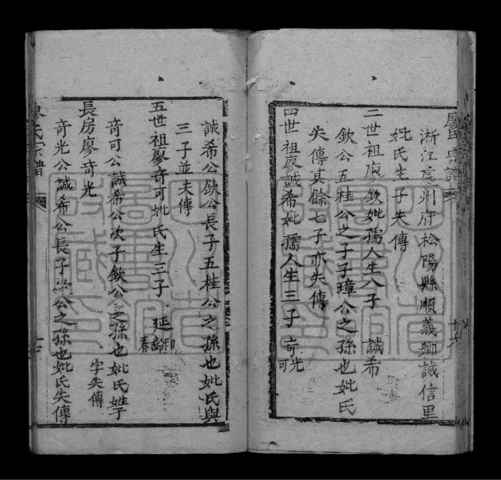 图片[5]-四川成都双流华阳石板滩廖氏族谱电子版PDF下载-中华家谱网