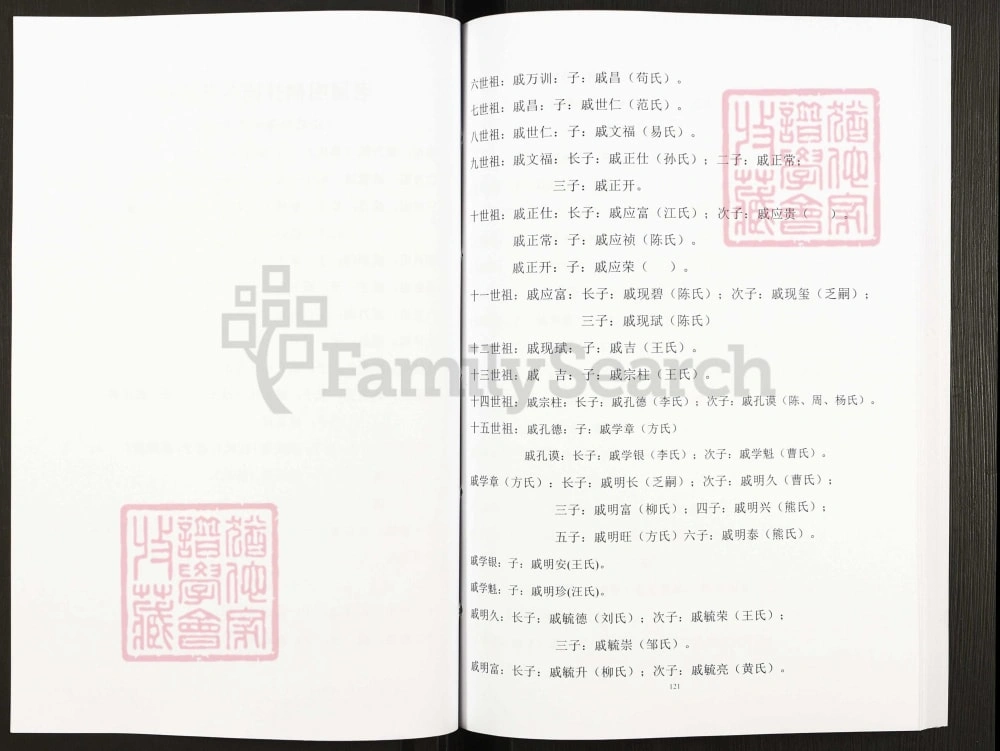 图片[7]-重庆忠县戚氏家谱电子版PDF下载-中华家谱网