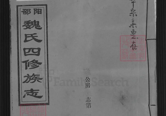 湖南邵阳魏氏四修族志（大名堂）电子版PDF下载-中华家谱网