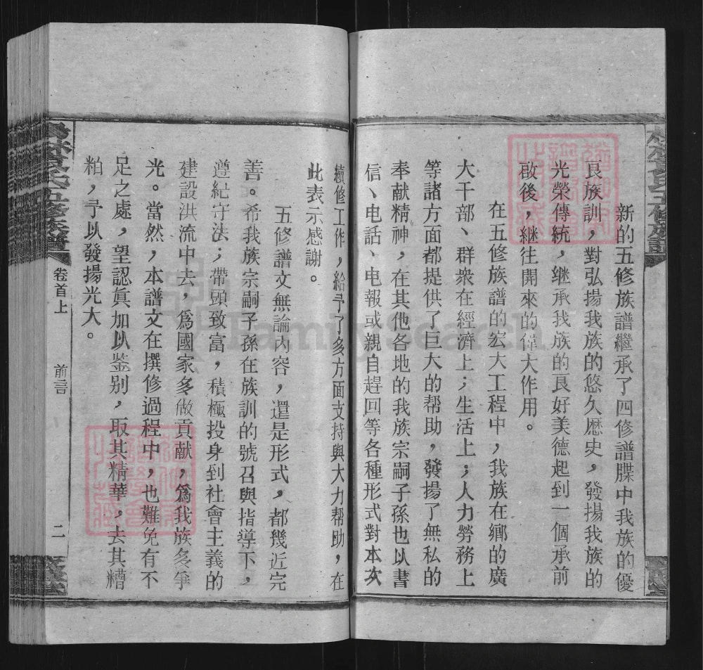 图片[3]-湖南邵阳杨林袁氏五修族谱（敦睦堂）电子版PDF下载-中华家谱网