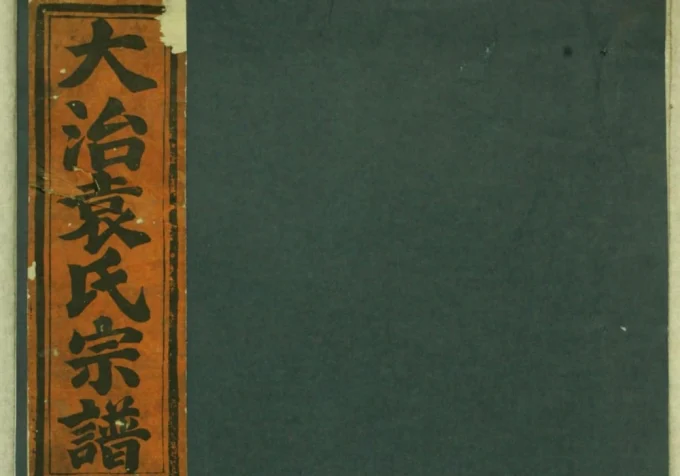 浙江衢州龙游县大治袁氏宗谱（忠顺堂）电子版PDF下载-中华家谱网