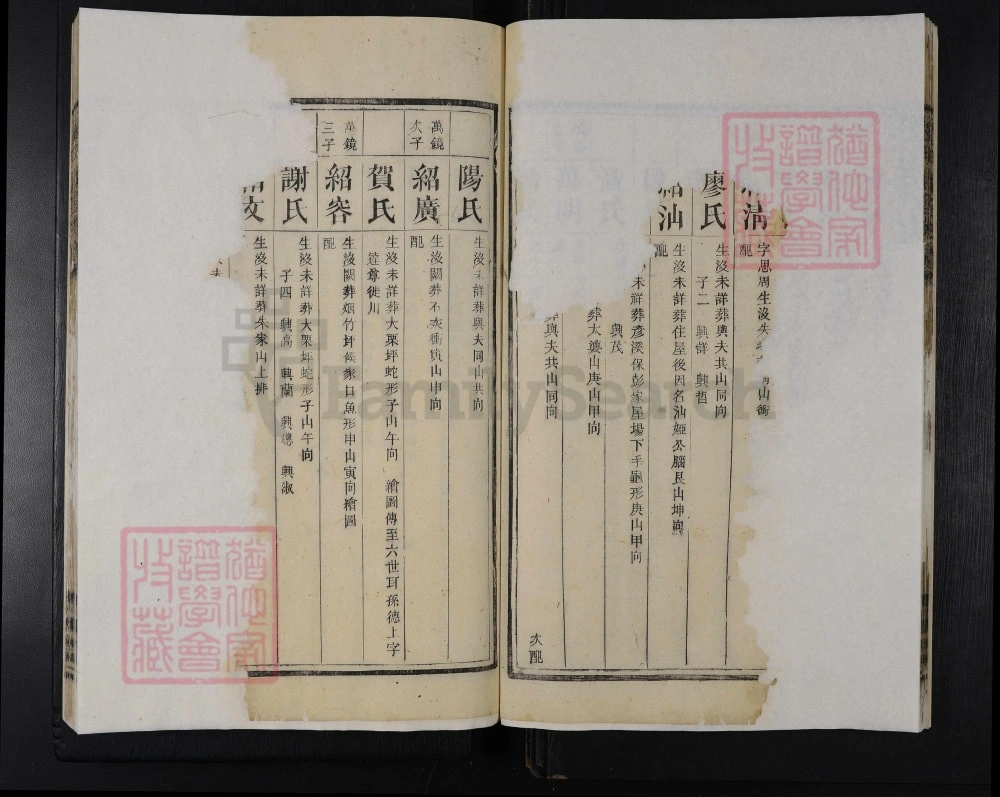 图片[8]-湖南安化严氏续修族谱（春山堂）电子版PDF下载-中华家谱网