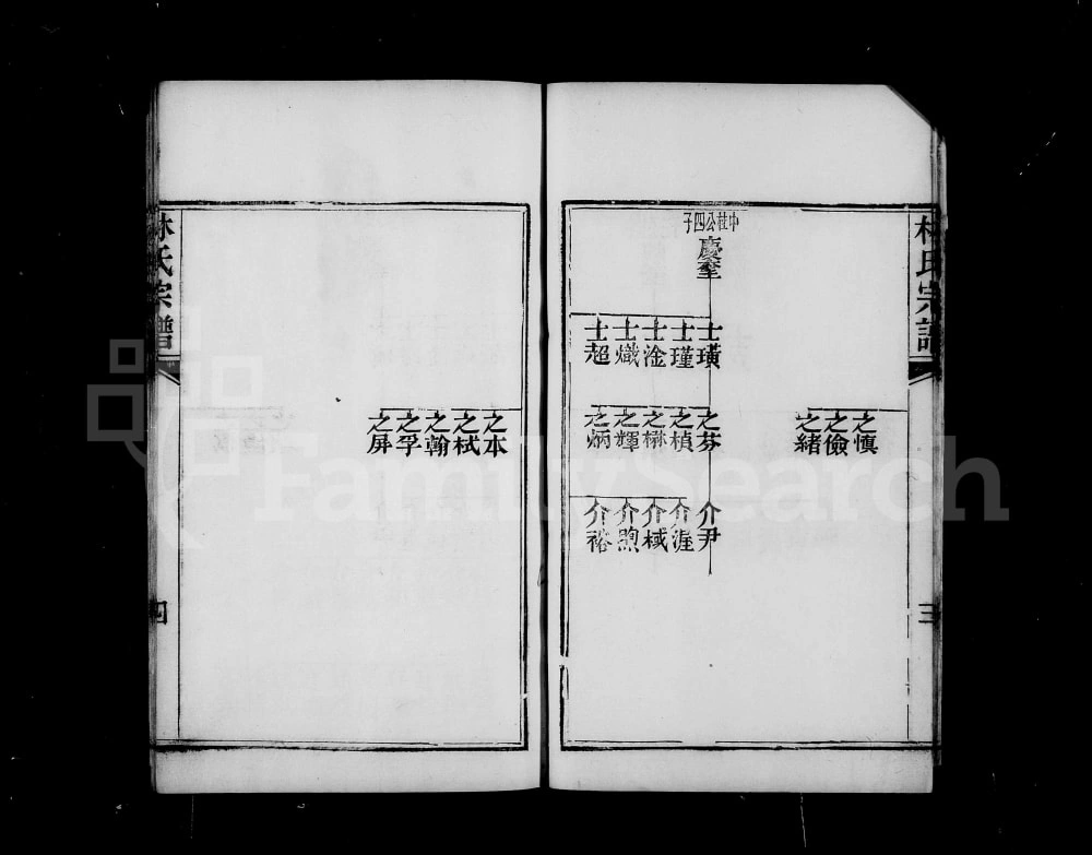图片[6]-安徽蚌埠怀远林氏宗谱电子版PDF下载-中华家谱网