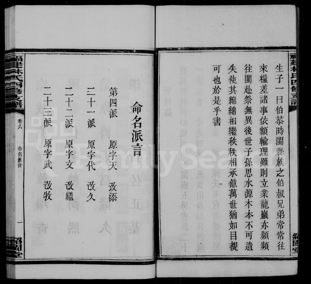 图片[4]-湖南湘乡福建林氏两湘四修支谱（绍闽堂）电子版PDF下载-中华家谱网