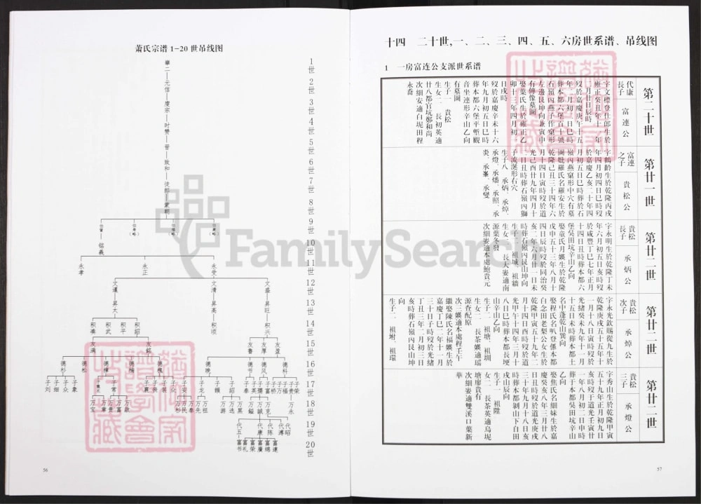 图片[8]-江西上饶玉山县萧(肖)氏宗谱电子版PDF下载-中华家谱网