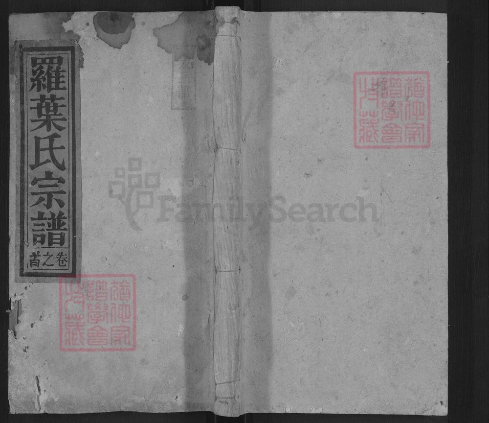 图片[1]-安徽安庆宿松罗叶氏宗谱电子版PDF下载-中华家谱网