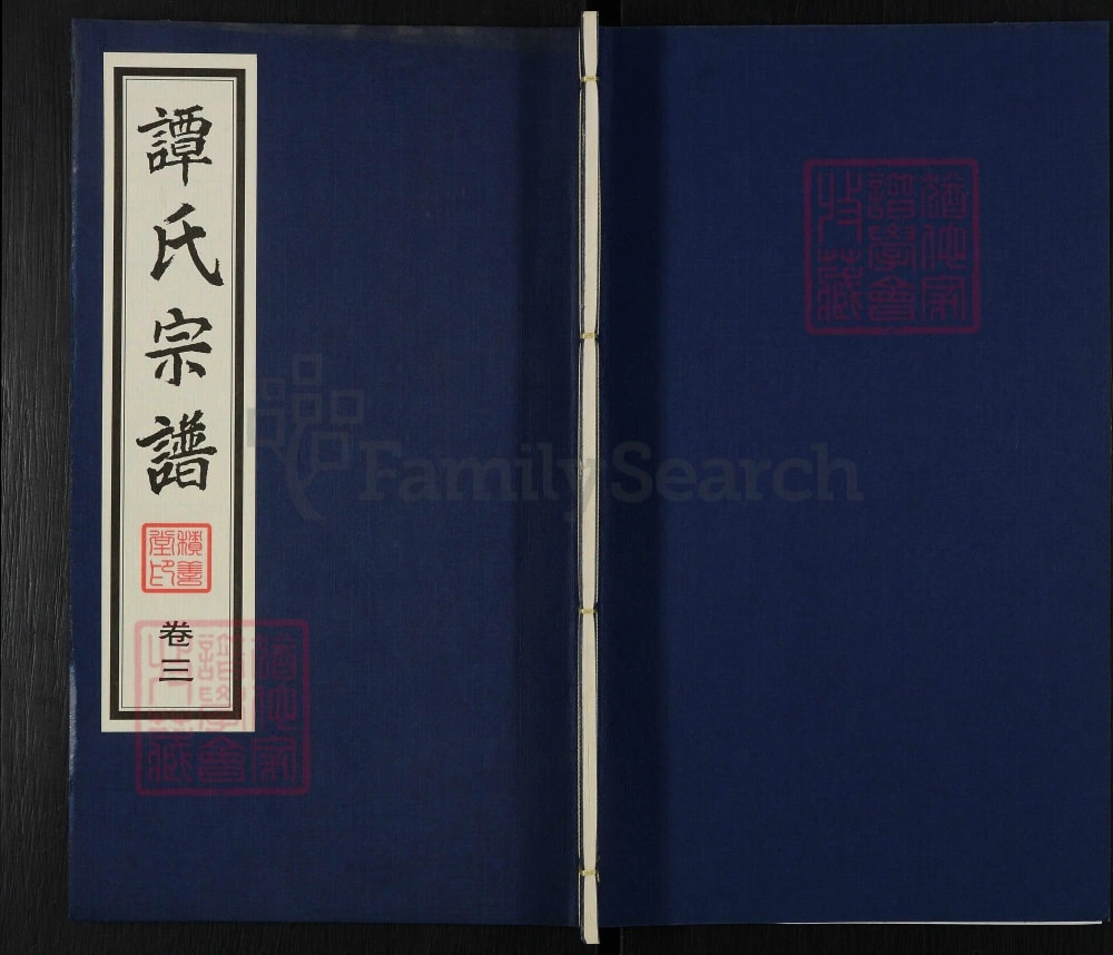 图片[1]-江苏江阴花山谭氏宗谱（积善堂）电子版PDF下载-中华家谱网