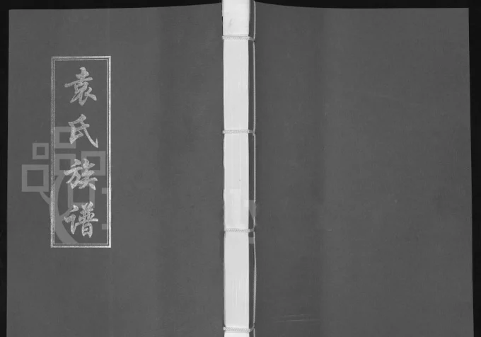 河南开封兰考袁氏族谱电子版PDF下载-中华家谱网