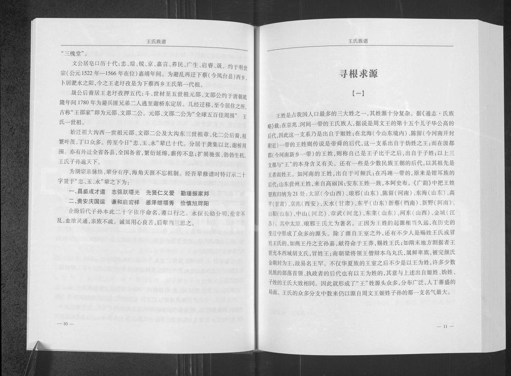 图片[4]-安徽阜阳颍上县王氏族谱（三槐堂）电子版PDF下载-中华家谱网